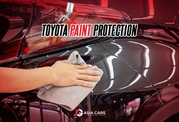 Toyota Paint Protection